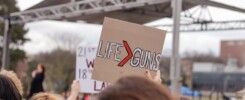 Is gun control the answer?